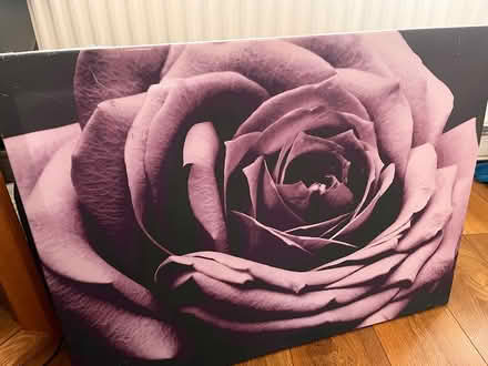 Photo of free Canvas (Langley SL3) #1