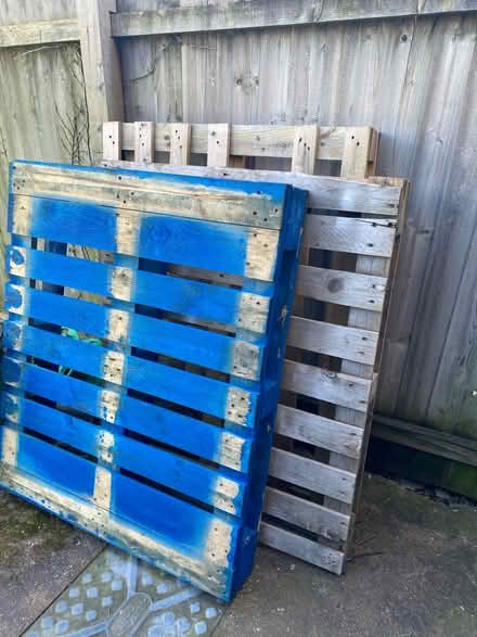 Photo of free 3x pallets (West Bridgford NG2) #1