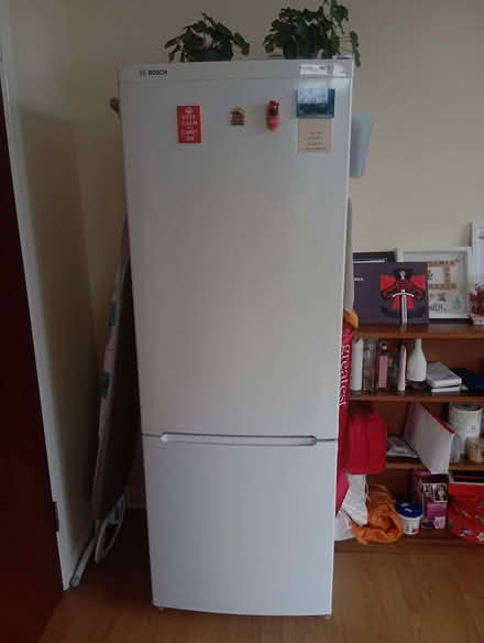 Photo of free Fridge (Whitehawk BN2) #1