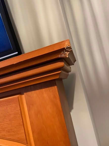 Photo of free Fire place (CM17) #3