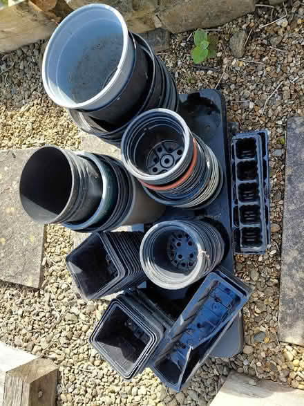 Photo of free Plastic Plant Pots (Wadsley S6) #2