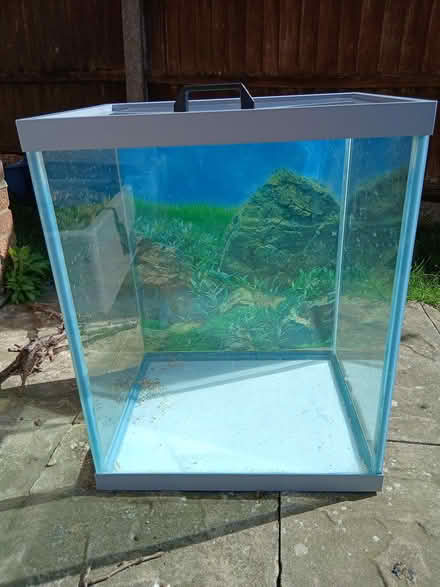 Photo of free Aquarium/Fish Tank (East bergholt CO7) #2