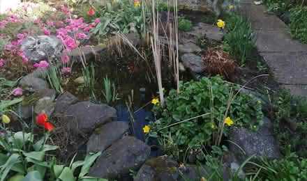 Photo of Wire fencing/chicken wire roll end (Beeston Rylands NG9) #1