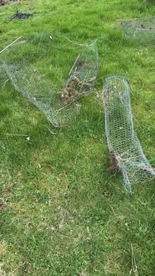 Photo of free Plant protection (Eastbourne BN20) #1