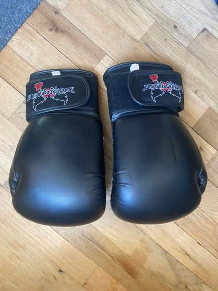 Photo of free Kickboxing gloves (small) (98178) #1
