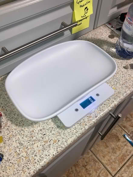 Photo of free Scales for kittens/small animals (Chester Road M15) #1