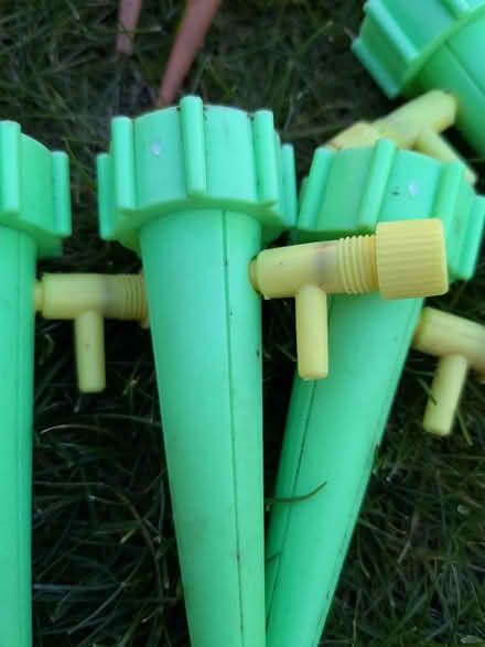 Photo of free Pot plant drip watering spikes (RG24 Chineham) #2