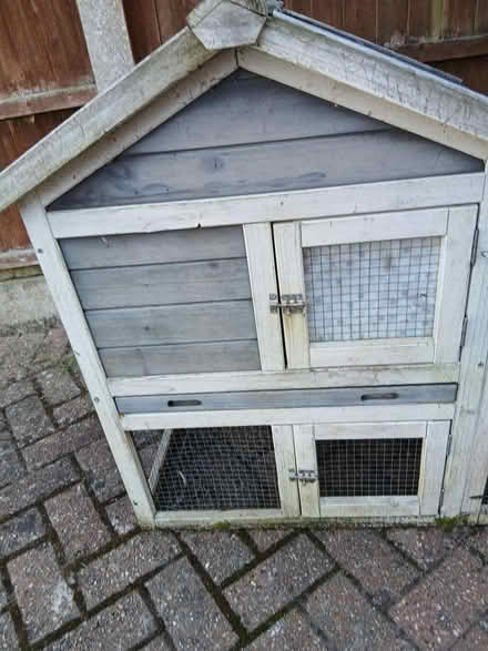 Photo of free Rabbit /Guinea pig Hutch (East bergholt CO7) #4