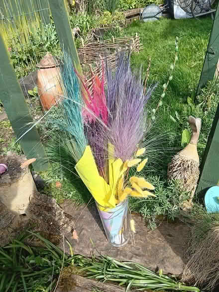 Photo of free Dried flowers and vase (Baildon BD17) #1