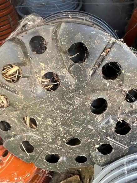 Photo of free Plastic pots of all sizes (Cam GL11) #3