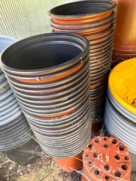 Photo of free Plastic pots of all sizes (Cam GL11) #2