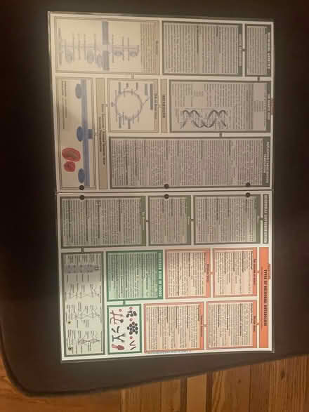 Photo of free Microbiology binder placard (Mount Vernon) #2
