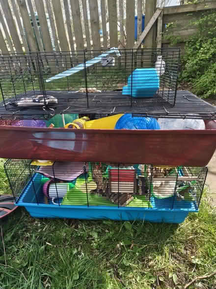 Photo of free Large hamster cage withaccessories (Durham) #1