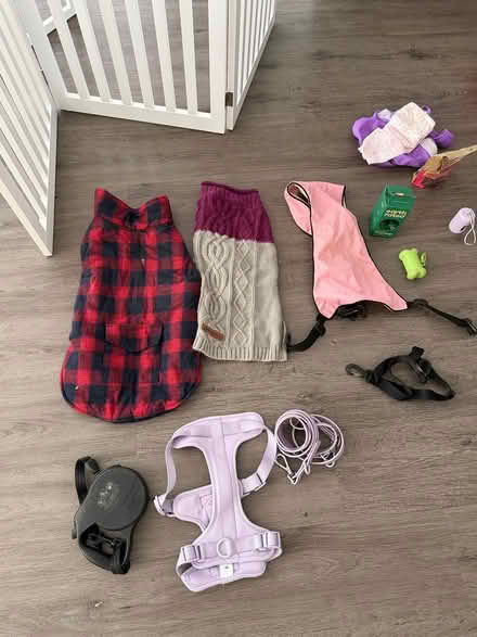 Photo of free dog items (Morristown) #2