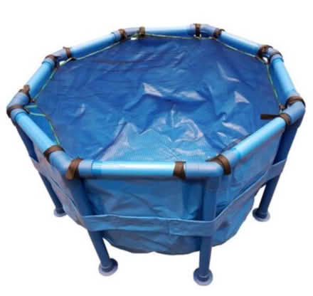 Photo of Fish holding (Ryde) #1