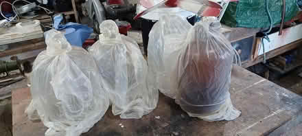 Photo of free 4 demijohns (WN2 wigan) #2
