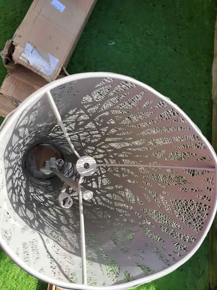 Photo of free Upright lamp (L36) #2