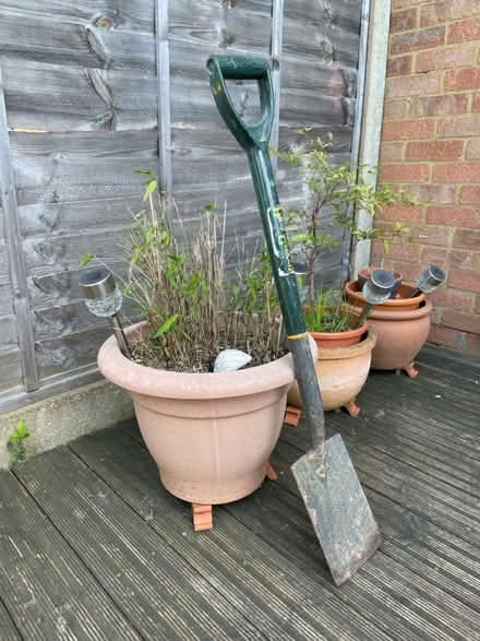 Photo of free Caste iron spade (Rochester ME1) #2