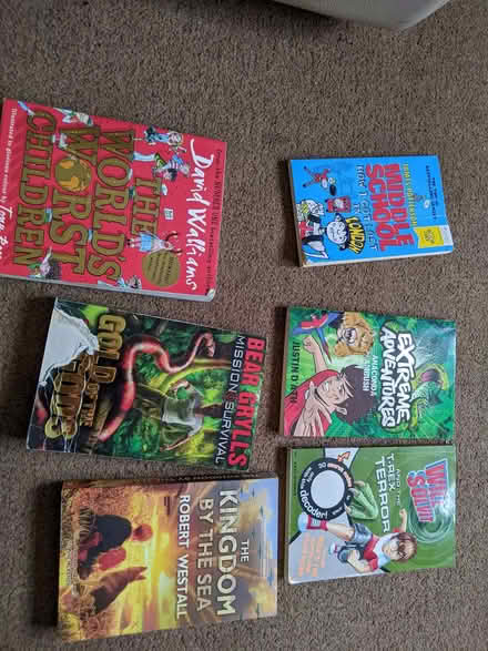 Photo of free Books for ages approx 8-11 and 12-14 (Old Woking GU22) #3