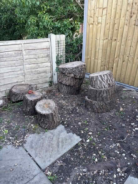 Photo of free Tree Logs and Stumps (Burnham SL1) #2