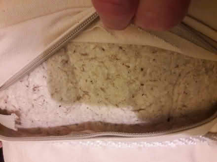 Photo of free Natural cotton fiber filling (Old Town East Fort Collins) #1