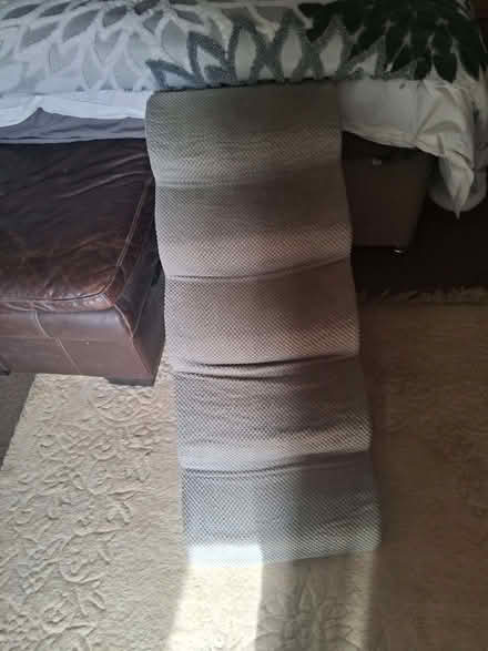 Photo of free Dog Ramp (CT11) #2