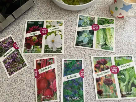 Photo of free Seeds collect from B77 Tamworth (B77) #1