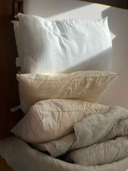 Photo of free Old bedding (HR4) #2