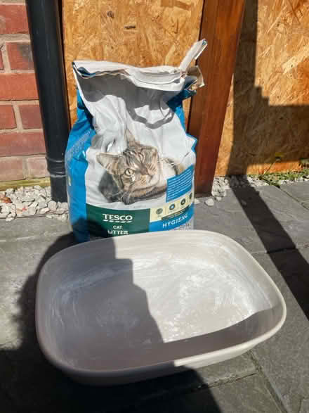 Photo of free cat litter and tray (loughborough LE11) #2