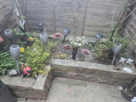 Photo of free Rockery (Bridlington) #1