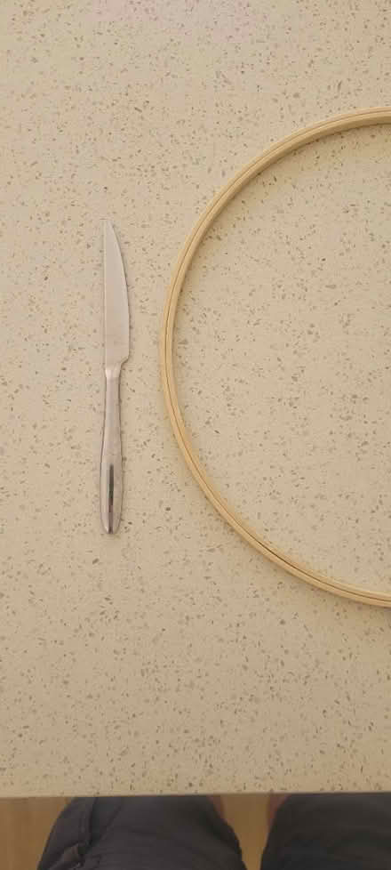 Photo of free Large embroiderey ring (Albany park) #2