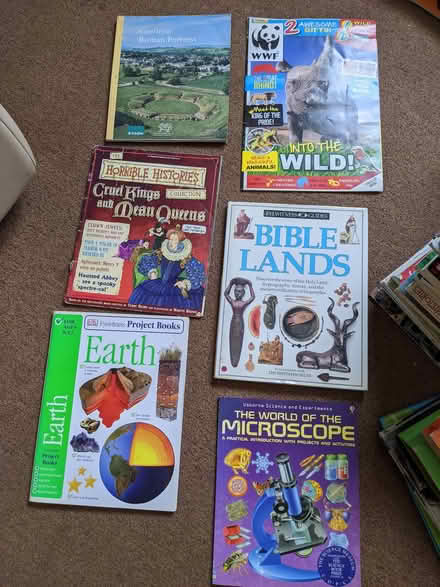 Photo of free Books for ages approx 8-11 and 12-14 (Old Woking GU22) #1
