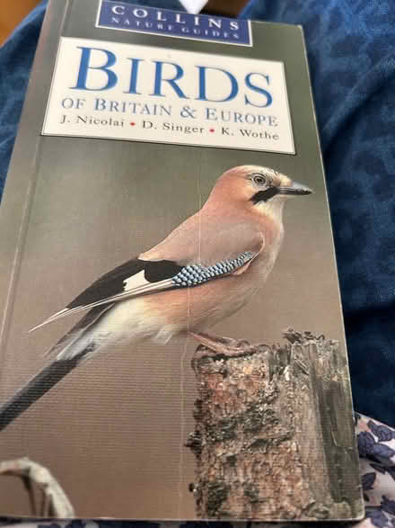 Photo of free Collins book of birds (Bedford (Putnoe)) #2