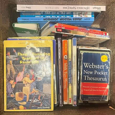 Photo of free Kids’ Books (Flatlands) #1