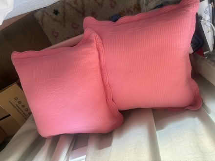 Photo of free 2 Euro sham pillows (Graduate Hospital) #1
