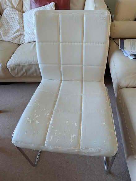 Photo of free Dining Chairs x2 (TN4) #1