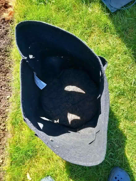 Photo of free Strawberry bag (Odd Down) #2