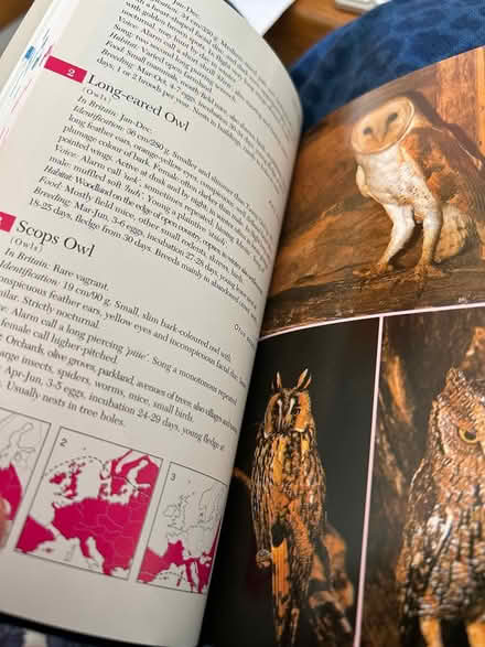 Photo of free Collins book of birds (Bedford (Putnoe)) #1