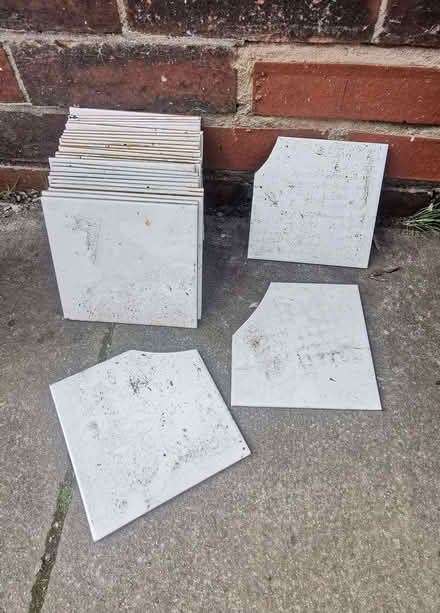 Photo of free Wall Tiles (Westhoughton BL5) #1