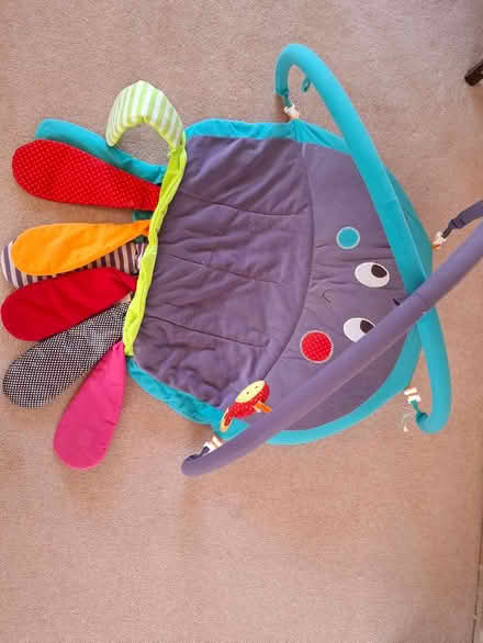 Photo of free Baby playmat (Horsell Woking GU21) #1
