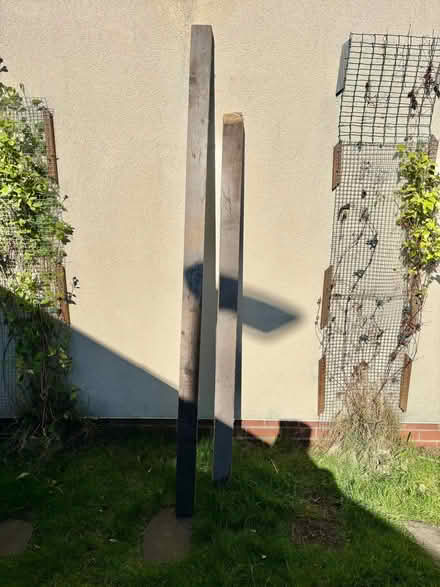 Photo of free Fence Posts (Langley Park DH7) #1
