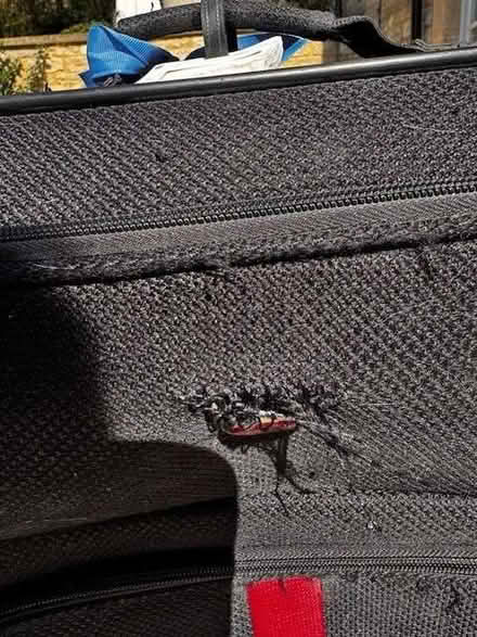 Photo of free suitcases - various - most with wheels (Sion Hill) #2