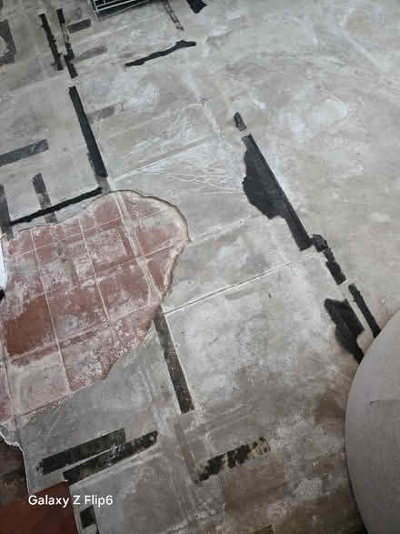 Photo of Rugs (Arnold NG5) #1