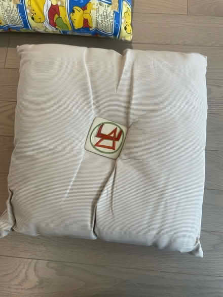 Photo of free Winnie the Pooh cushions (Kennedy/16th in Markham) #4