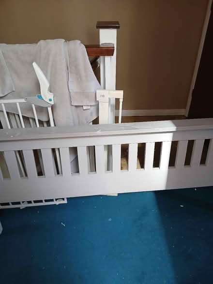 Photo of free Wood (PO19) #2