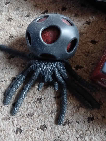 Photo of free Spider toy (Kirkstall LS5) #1