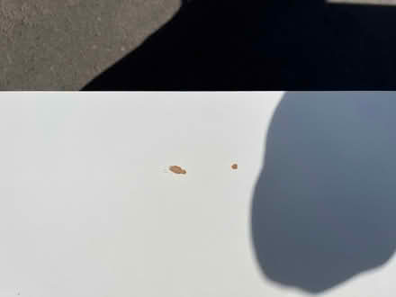 Photo of free Marks and Spencer dressing table (Alvechurch B48) #3