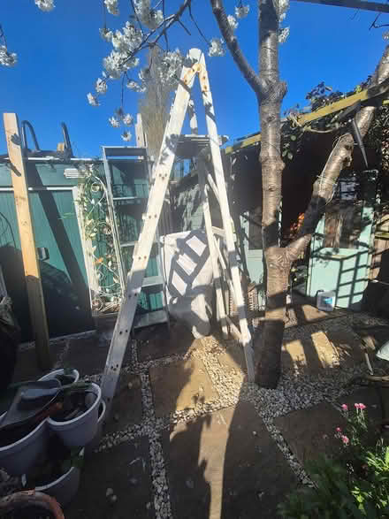 Photo of free Wooden steps (Harold wood Rm3 0gd) #2