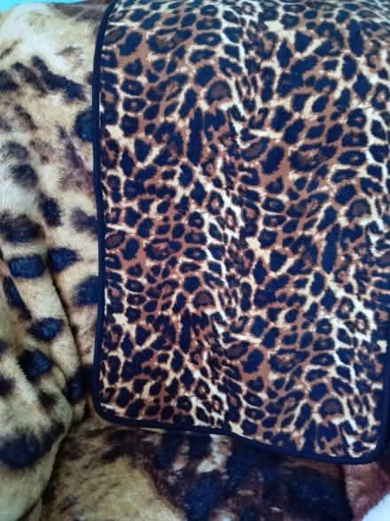 Photo of free Bath set (Maidenhead SL6) #1