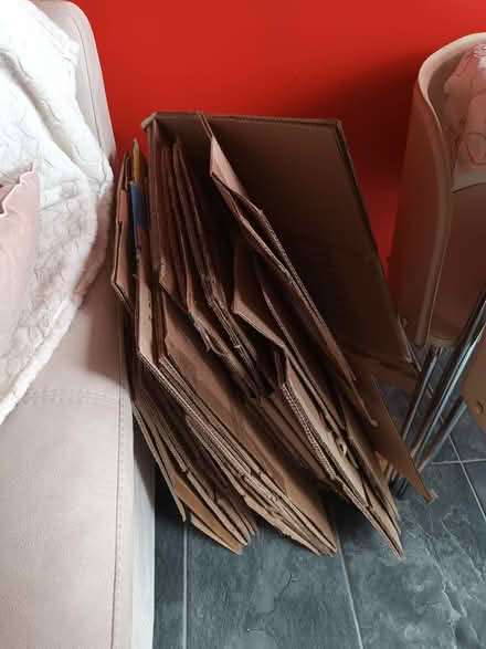 Photo of free Moving boxes (Burry port SA16) #2